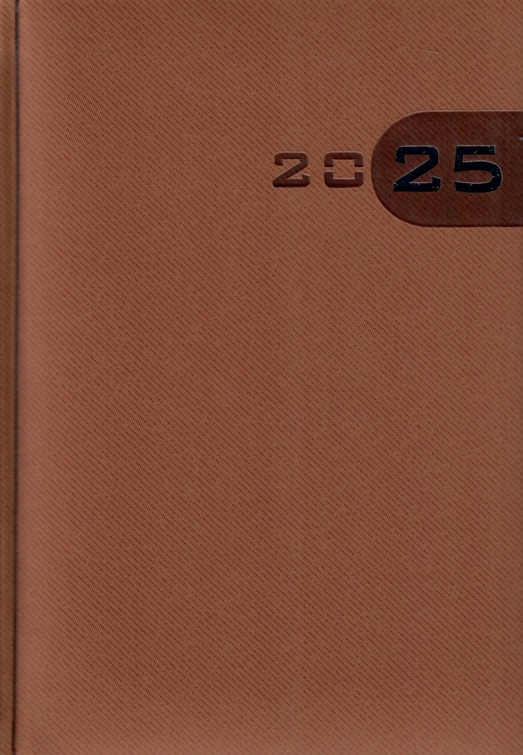 AGENDA PROFESIONAL PR 2025