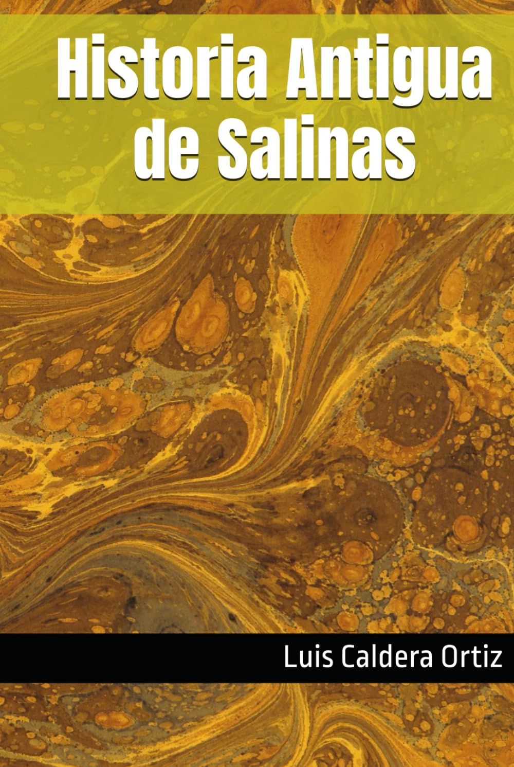 HISTORIA ANTIGUA DE SALINAS - Luis Caldera Ortiz