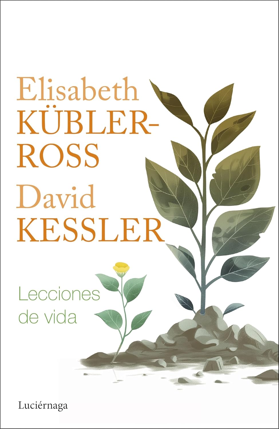 LECCIONES DE VIDA - Elisabeth Kübler-Ross / David Kessler