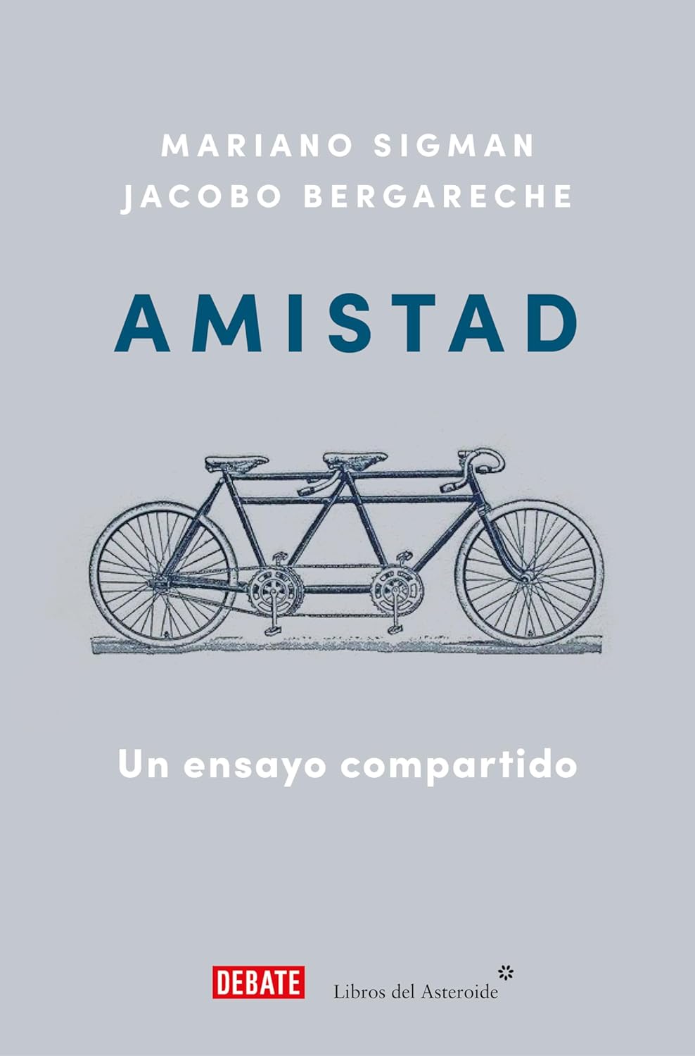AMISTAD: UN ENSAYO COMPARTIDO - Mariano Sigman/ Jacobo Bergareche