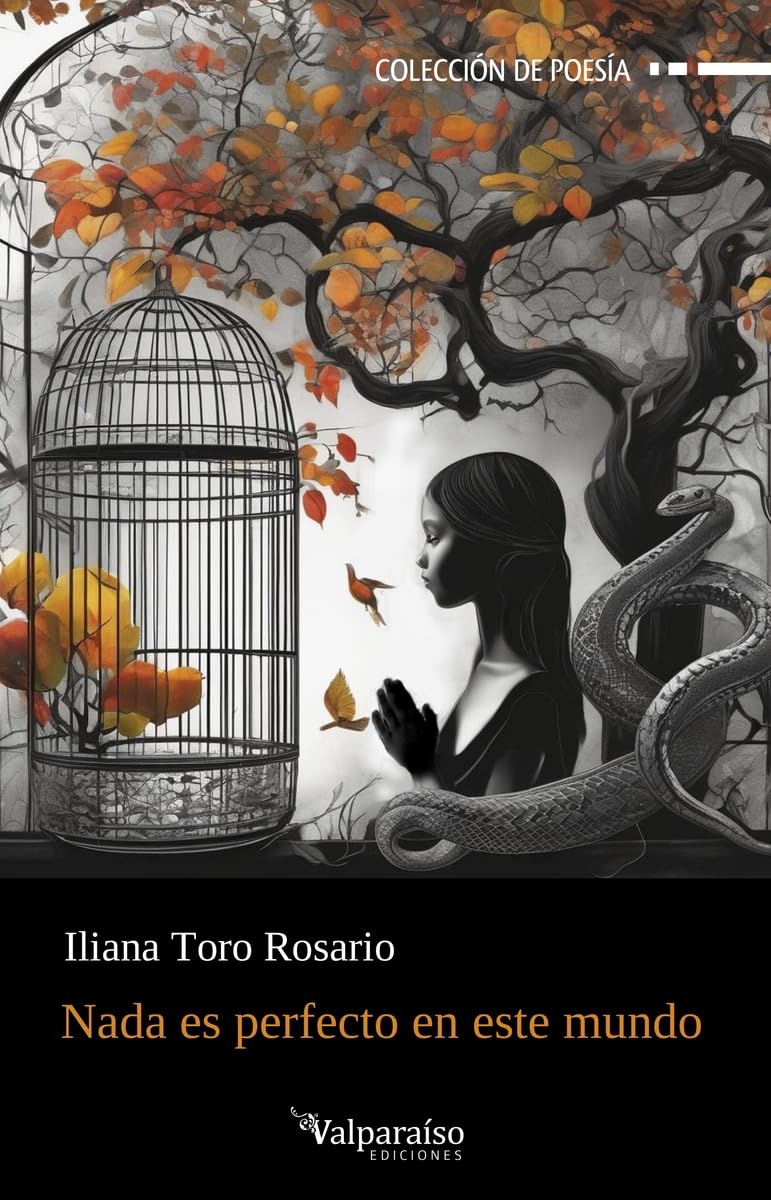 NADA ES PERFECTO EN ESTE MUNDO - Iliana Toro Rosario