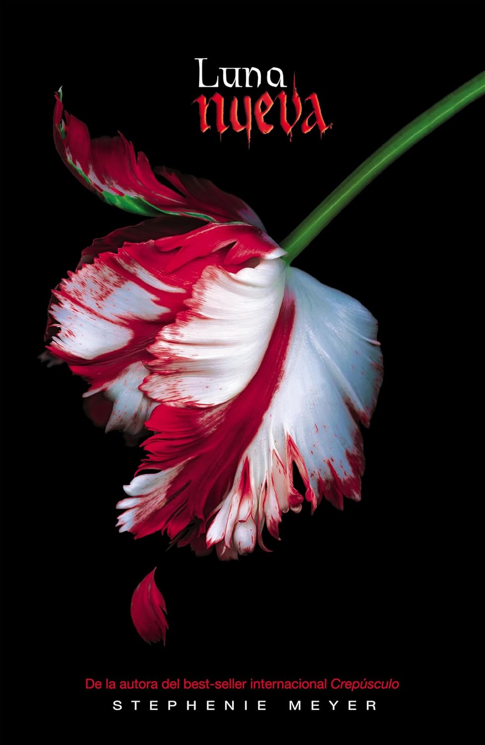 LUNA NUEVA - Stephanie Meyer
