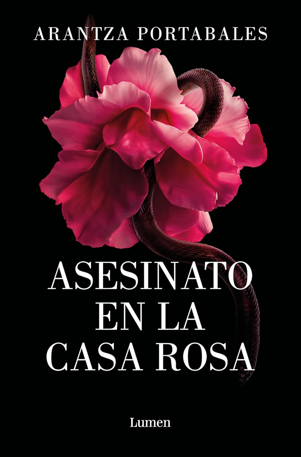 ASESINATO EN LA CASA ROSA - Arantza Portabales