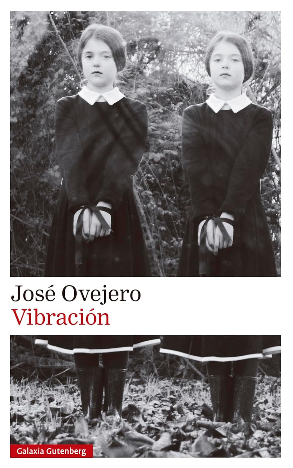 VIBRACIÓN - José Ovejero