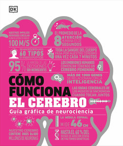 CÓMO FUNCIONA EL CEREBRO