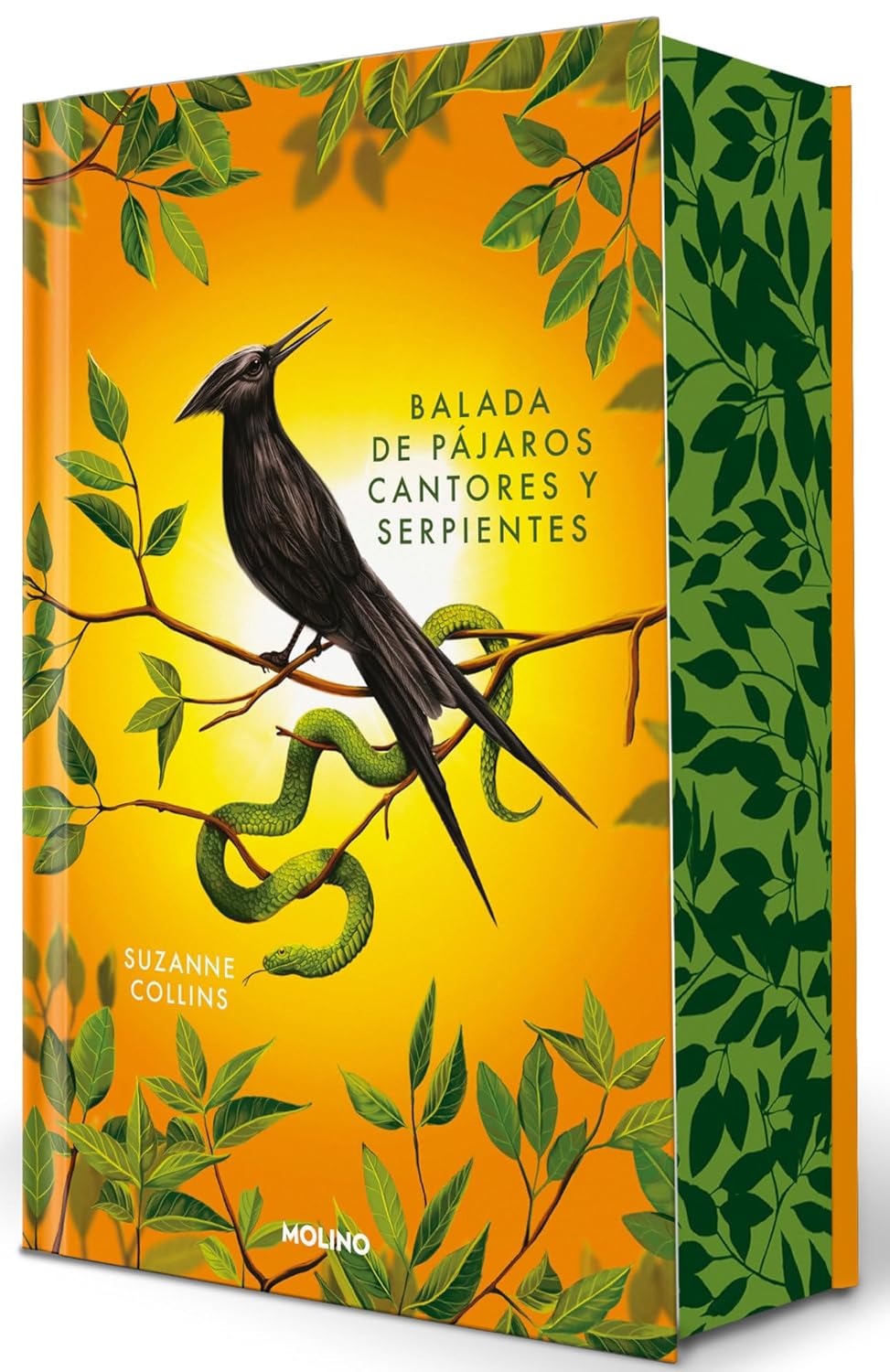 BALADA DE PÁJAROS Y SERPIENTES, EDICIÓN ESPECIAL - Suzanne Collins