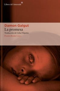 LA PROMESA - Damon Galgut