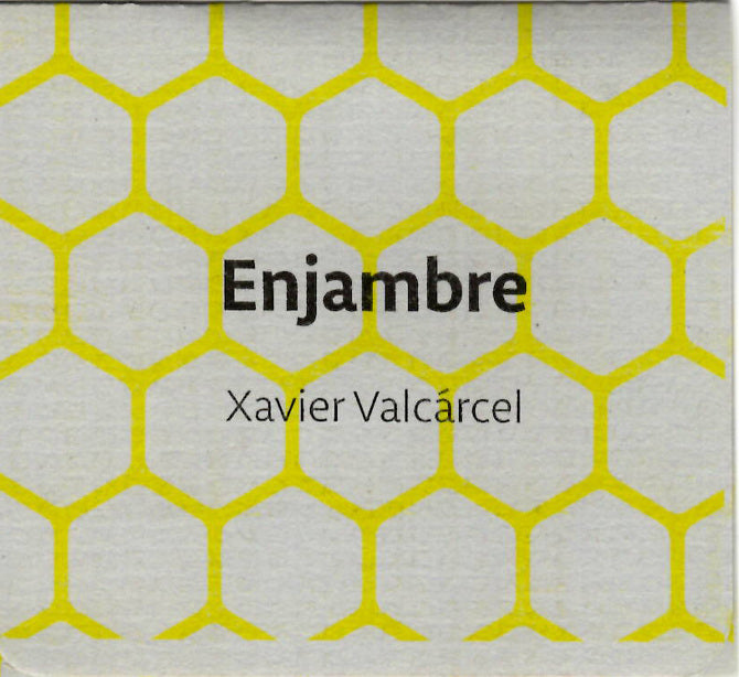 ENJAMBRE - Xavier Valcárcel