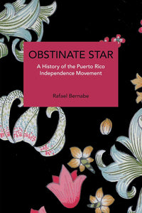 OBSTINATE STAR - Rafael Bernabe