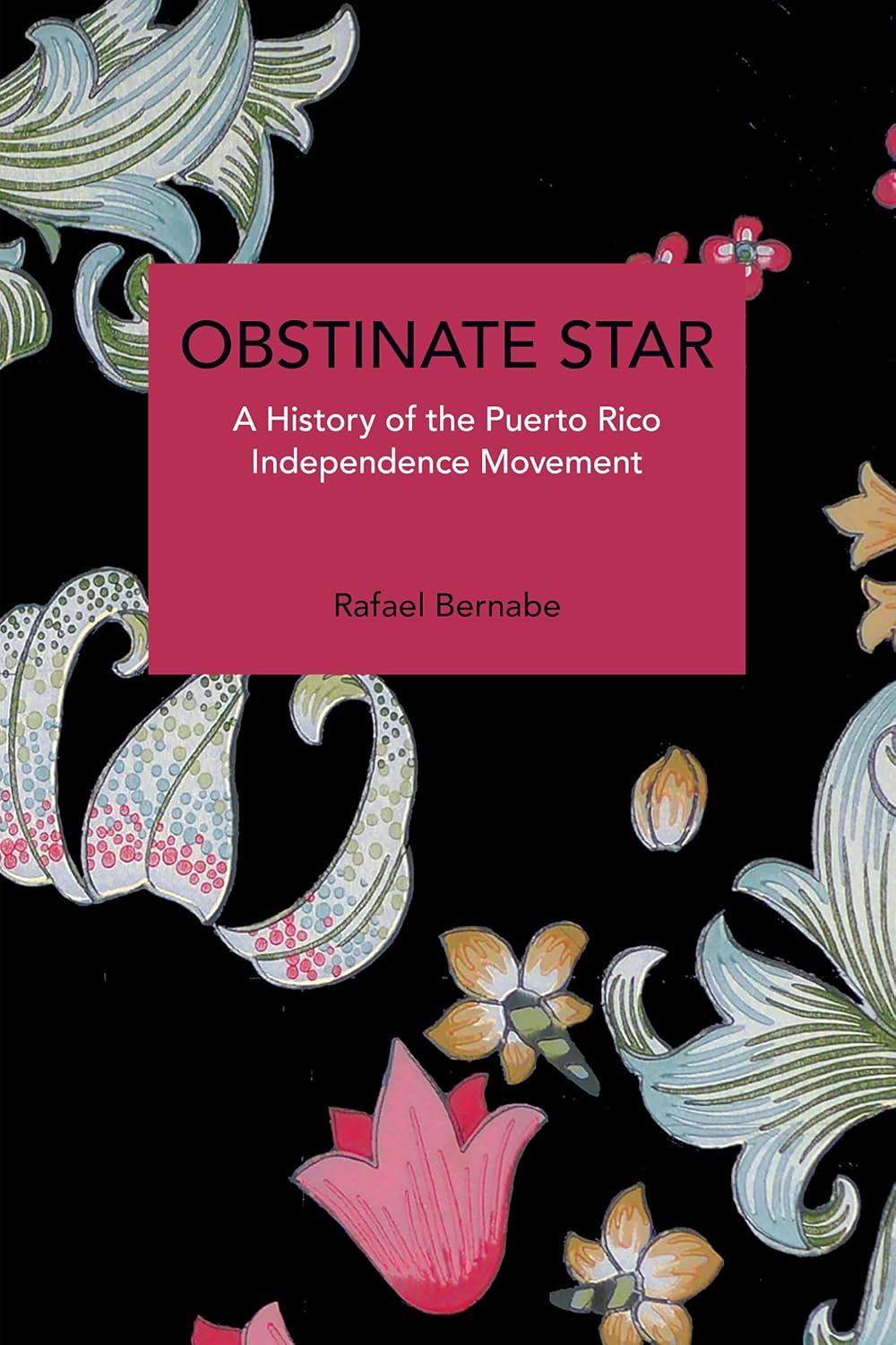 OBSTINATE STAR - Rafael Bernabe