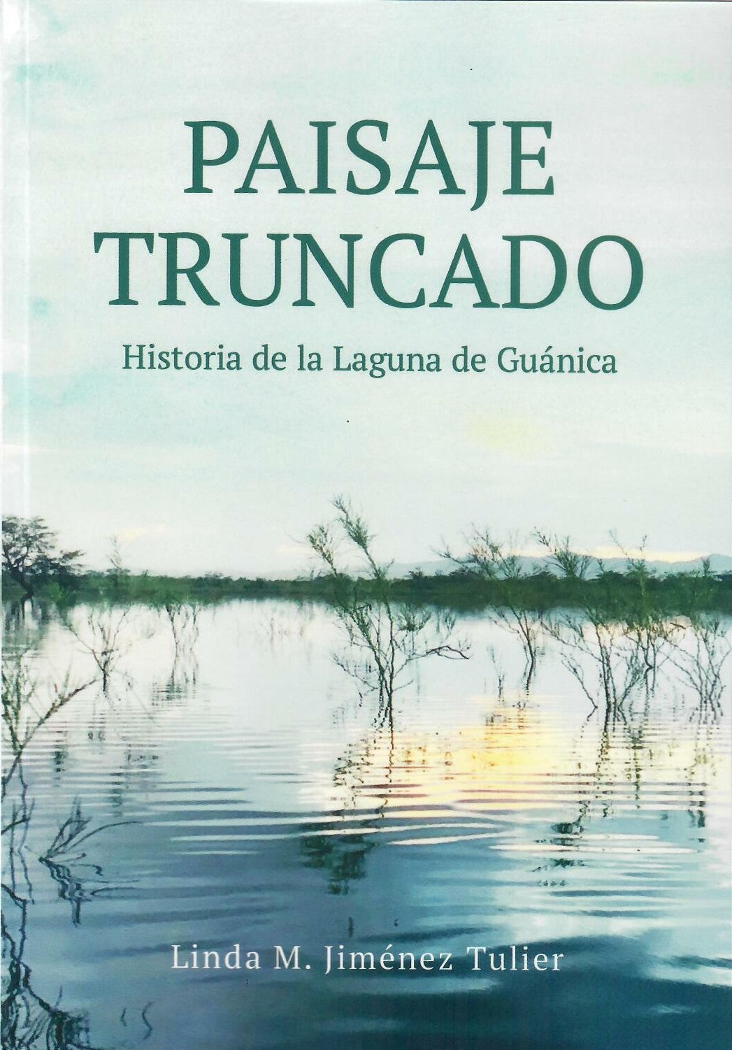 PAISAJE TRUNCADO - Linda M. Jiménez Tulier