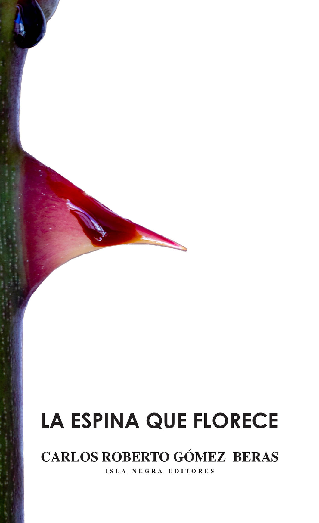 LA ESPINA QUE FLORECE - Carlos Roberto Gómez Beras