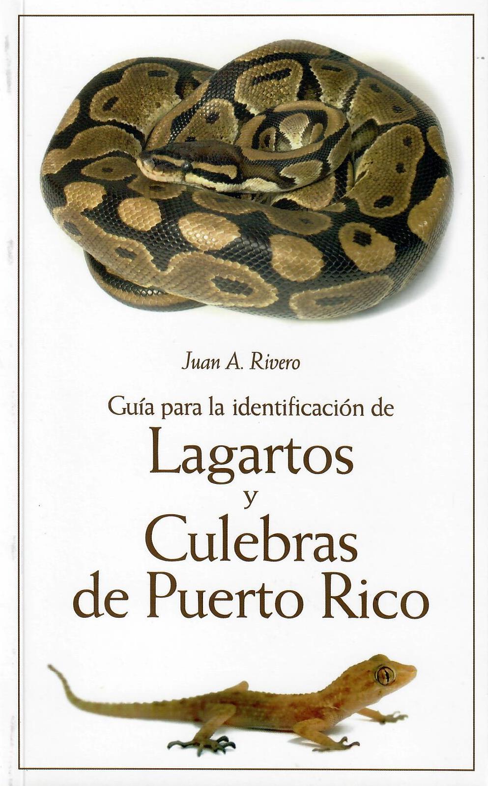 GUÍA PARA LA IDENTIFICACIÓN DE LAGARTOS Y CULEBRAS DE PUERTO RICO - Juan A. Rivero