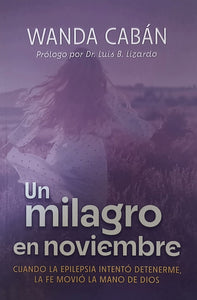 UN MILAGRO EN NOVIEMBRE - Wanda A. Cabán