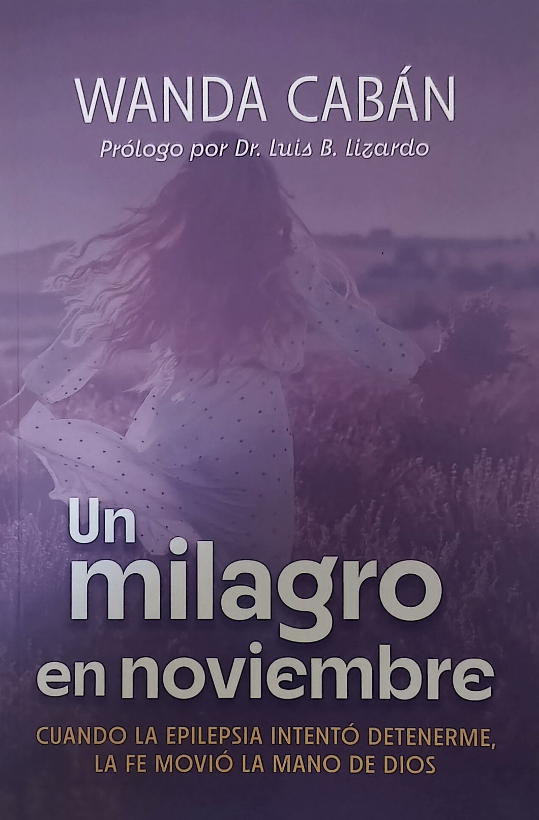 UN MILAGRO EN NOVIEMBRE - Wanda A. Cabán