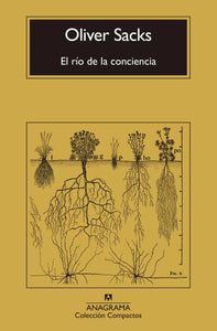 EL RÍO DE LA CONCIENCIA - Oliver Sacks