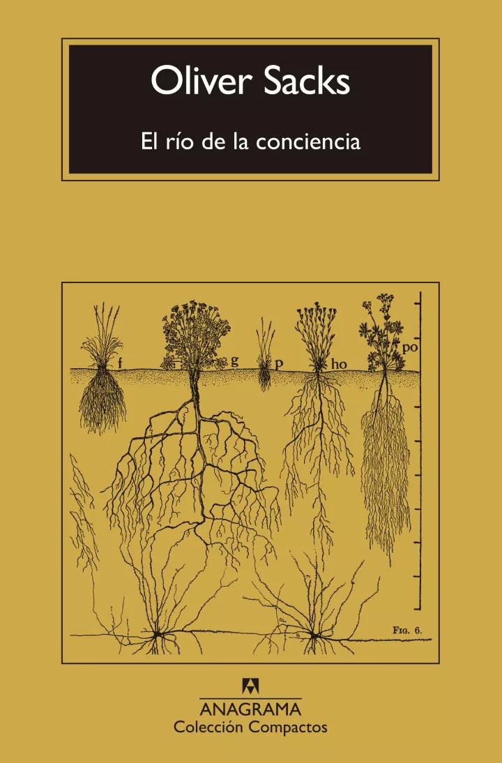 EL RÍO DE LA CONCIENCIA - Oliver Sacks