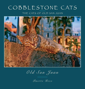 COBBLESTONE CATS - Alan Panattoni