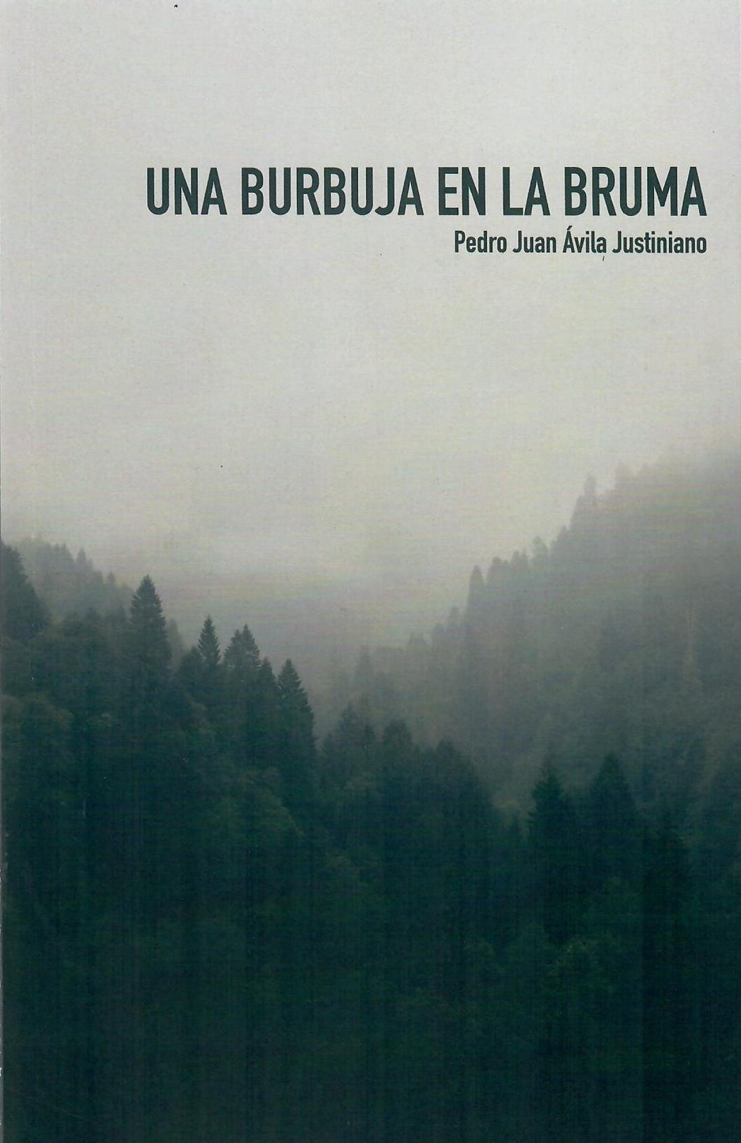 UNA BURBUJA EN LA BRUMA - Pedro Juan Ávila Justiniano