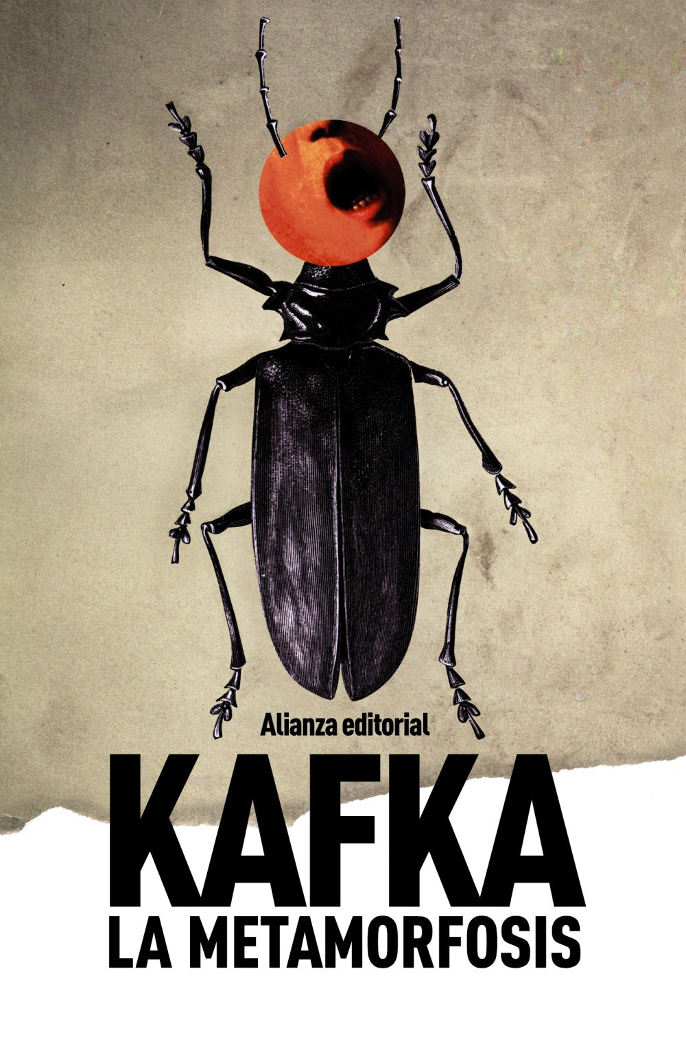 LA METAMORFOSIS - Franz Kafka