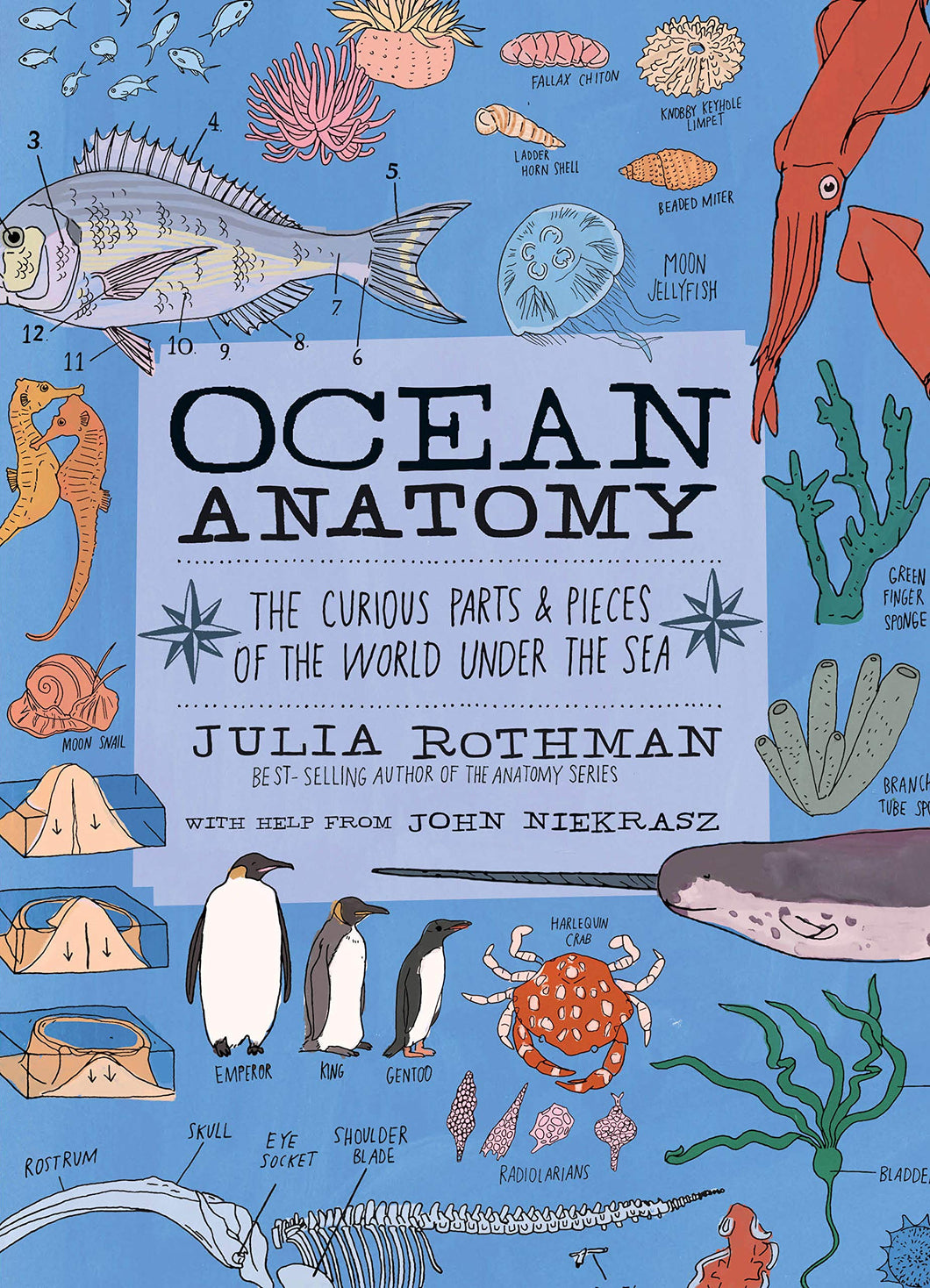 OCEAN ANATOMY - Julia Rothman with help from John Niekrasz